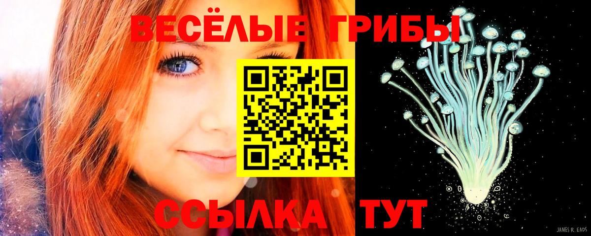 Можайск  Псилоцибиновые грибы мицелий  Вход с VPN 