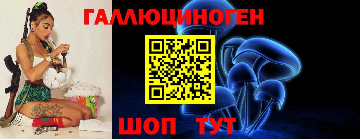 Галлюциногенные грибы Psilocybe Можайск